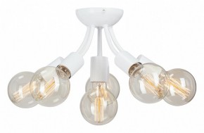 Потолочная люстра Vitaluce V3927 V3927-0/6PL в Каменске-Уральском - kamensk-uralskiy.ok-mebel.com | фото