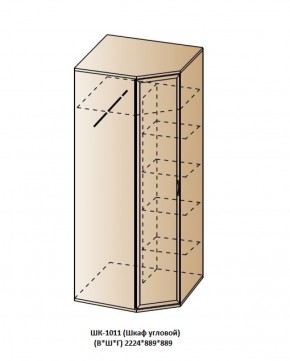 ШК-1011 (Шкаф угловой) в Каменске-Уральском - kamensk-uralskiy.ok-mebel.com | фото