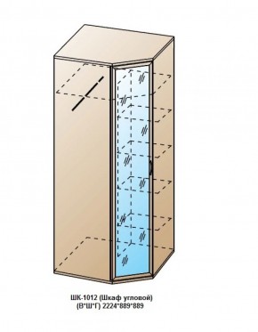 ШК-1012 (Шкаф угловой) в Каменске-Уральском - kamensk-uralskiy.ok-mebel.com | фото