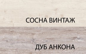 Шкаф 2D1S, MONAKO, цвет Сосна винтаж/дуб анкона в Каменске-Уральском - kamensk-uralskiy.ok-mebel.com | фото