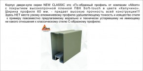 Шкаф-купе 1500 серии NEW CLASSIC K2+K2+B2+PL2(2 ящика+1 штанга+1 полка) профиль «Капучино» в Каменске-Уральском - kamensk-uralskiy.ok-mebel.com | фото 17