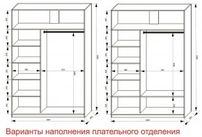 Шкаф-купе 1600 серии SOFT D6+D4+B2+PL2 (2 ящика+1штанга+1 полка) профиль «Капучино» в Каменске-Уральском - kamensk-uralskiy.ok-mebel.com | фото 8