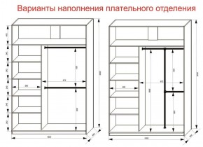 Шкаф-купе 1600 серии SOFT D6+D6+B2+PL3 (2 ящика+2штанги) профиль «Капучино» в Каменске-Уральском - kamensk-uralskiy.ok-mebel.com | фото 7