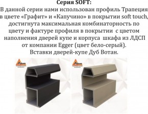 Шкаф-купе 1800 серии SOFT D1+D3+B2+PL1 (2 ящика+1штанга) профиль «Графит» в Каменске-Уральском - kamensk-uralskiy.ok-mebel.com | фото 11