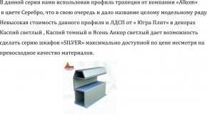 Шкаф-купе 2250 серии SILVER S3+S1+S3Z B22+PL2 (по 2 ящика лев/прав+1штанга+1 полка) профиль «Серебро» в Каменске-Уральском - kamensk-uralskiy.ok-mebel.com | фото 4