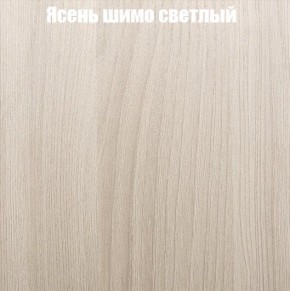 Шкаф-купе «ТАНДЕМ» 2-х дверный в алюминиевом профиле (Дверь К+К) 1200/h2200 в Каменске-Уральском - kamensk-uralskiy.ok-mebel.com | фото 6