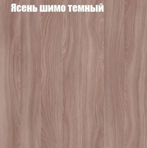 Шкаф-купе «ТАНДЕМ» 2-х дверный в алюминиевом профиле (Дверь К+К) 1200/h2200 в Каменске-Уральском - kamensk-uralskiy.ok-mebel.com | фото 7