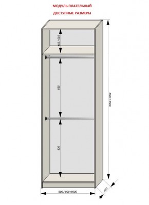 Шкаф распашной серия «ЗЕВС» (PL3/С1/PL2) в Каменске-Уральском - kamensk-uralskiy.ok-mebel.com | фото 12