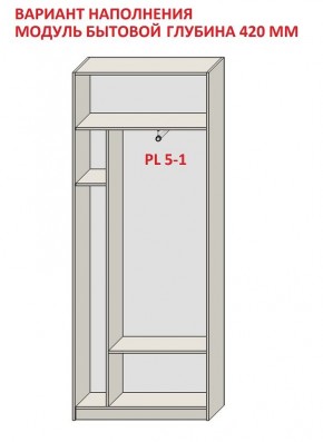 Шкаф распашной серия «ЗЕВС» (PL3/С1/PL2) в Каменске-Уральском - kamensk-uralskiy.ok-mebel.com | фото 4