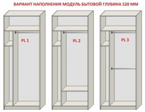 Шкаф распашной серия «ЗЕВС» (PL3/С1/PL2) в Каменске-Уральском - kamensk-uralskiy.ok-mebel.com | фото 5