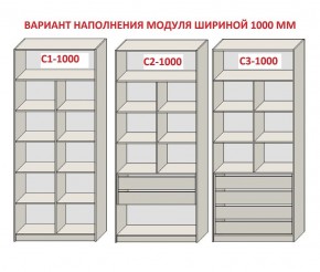 Шкаф распашной серия «ЗЕВС» (PL3/С1/PL2) в Каменске-Уральском - kamensk-uralskiy.ok-mebel.com | фото 7