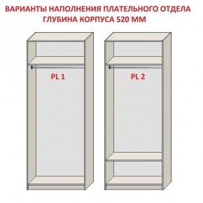 Шкаф распашной серия «ЗЕВС» (PL3/С1/PL2) в Каменске-Уральском - kamensk-uralskiy.ok-mebel.com | фото 9