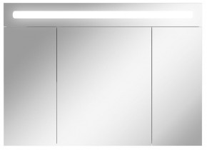 Шкаф-зеркало Аврора 100 с подсветкой LED Домино (DV8012HZ) в Каменске-Уральском - kamensk-uralskiy.ok-mebel.com | фото 1