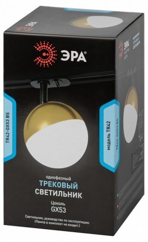 Светильник на штанге Эра  TR42-GX53 BS в Каменске-Уральском - kamensk-uralskiy.ok-mebel.com | фото 6