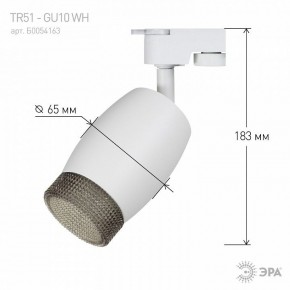Светильник на штанге Эра  TR51 - GU10 WH в Каменске-Уральском - kamensk-uralskiy.ok-mebel.com | фото 4