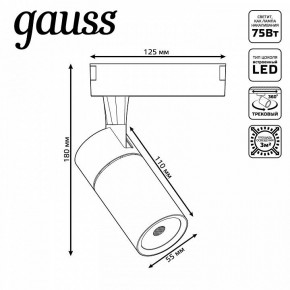 Светильник на штанге Gauss Track Light TR059 в Каменске-Уральском - kamensk-uralskiy.ok-mebel.com | фото 6