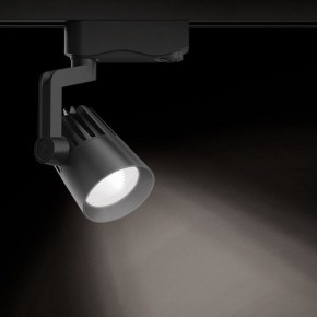 Светильник на штанге Gauss Track Light TR061 в Каменске-Уральском - kamensk-uralskiy.ok-mebel.com | фото 2
