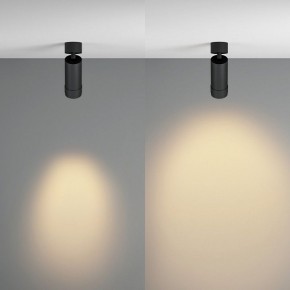 Светильник на штанге Maytoni Focus Zoom C055CL-L12W2.7K-Z-B в Каменске-Уральском - kamensk-uralskiy.ok-mebel.com | фото 3