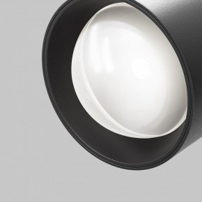 Светильник на штанге Maytoni Lens TR217-2-15W4K-B в Каменске-Уральском - kamensk-uralskiy.ok-mebel.com | фото 10