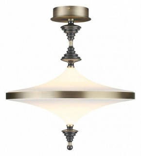 Светильник на штанге Odeon Light Ula 5404/43CL в Каменске-Уральском - kamensk-uralskiy.ok-mebel.com | фото 2