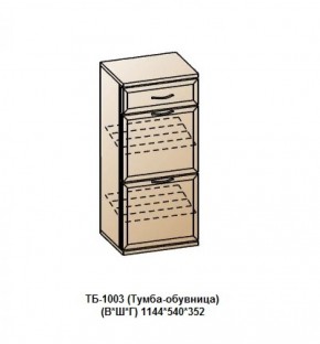 ТБ-1003 (Тумба-обувница) в Каменске-Уральском - kamensk-uralskiy.ok-mebel.com | фото
