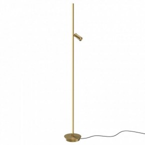 Торшер Maytoni Thin MOD395FL-L28BS3K в Каменске-Уральском - kamensk-uralskiy.ok-mebel.com | фото